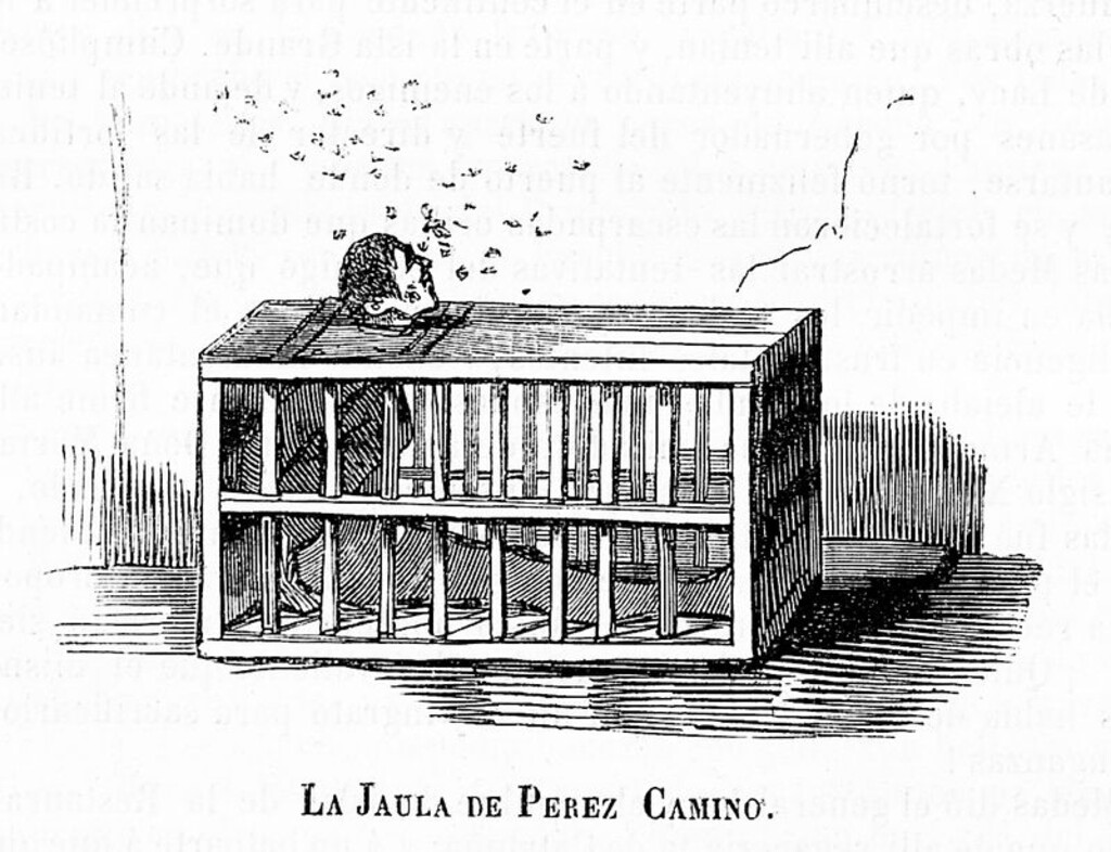 Miniatura de La jaula de Pérez Camino