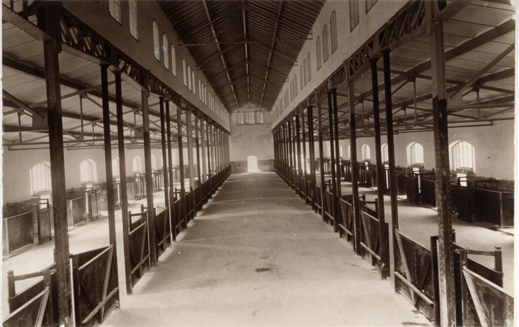 Miniatura de Interior de una nave de degüello de ganado vacuno del Matadero Municipal