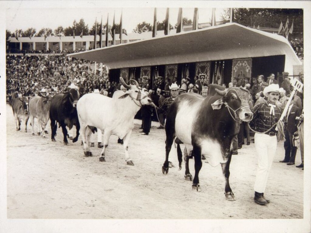 Miniatura de Feria del Campo