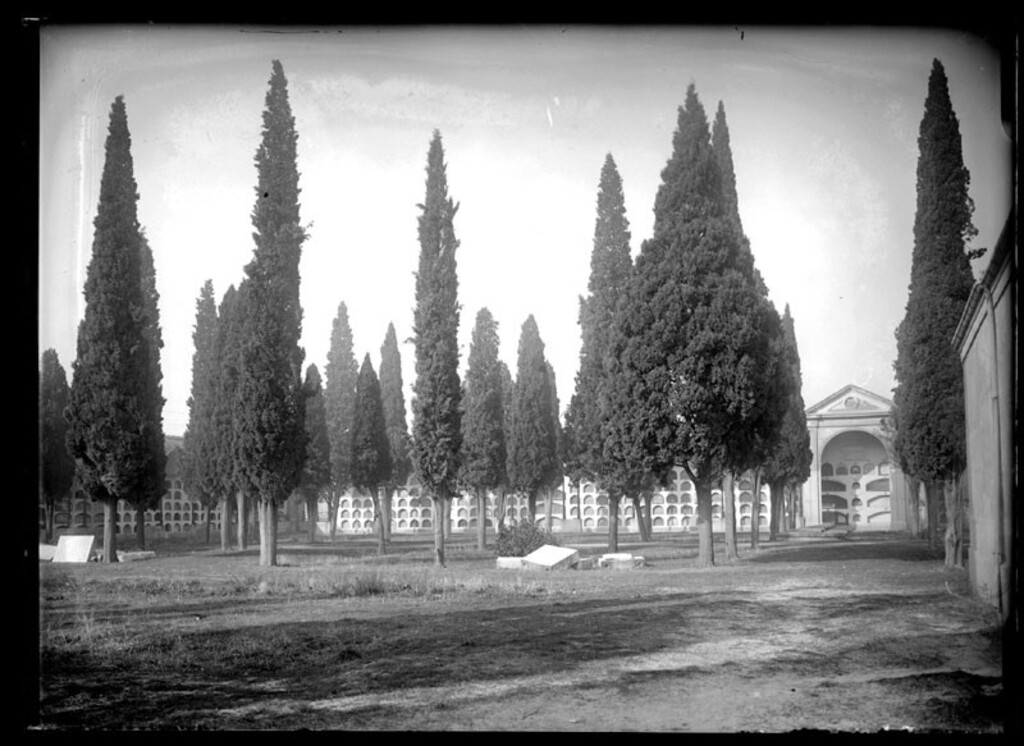 Miniatura de Cementerio de San Martín