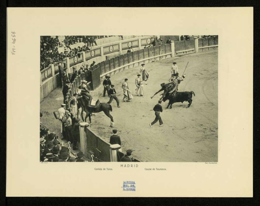 Miniatura de Corrida de Toros