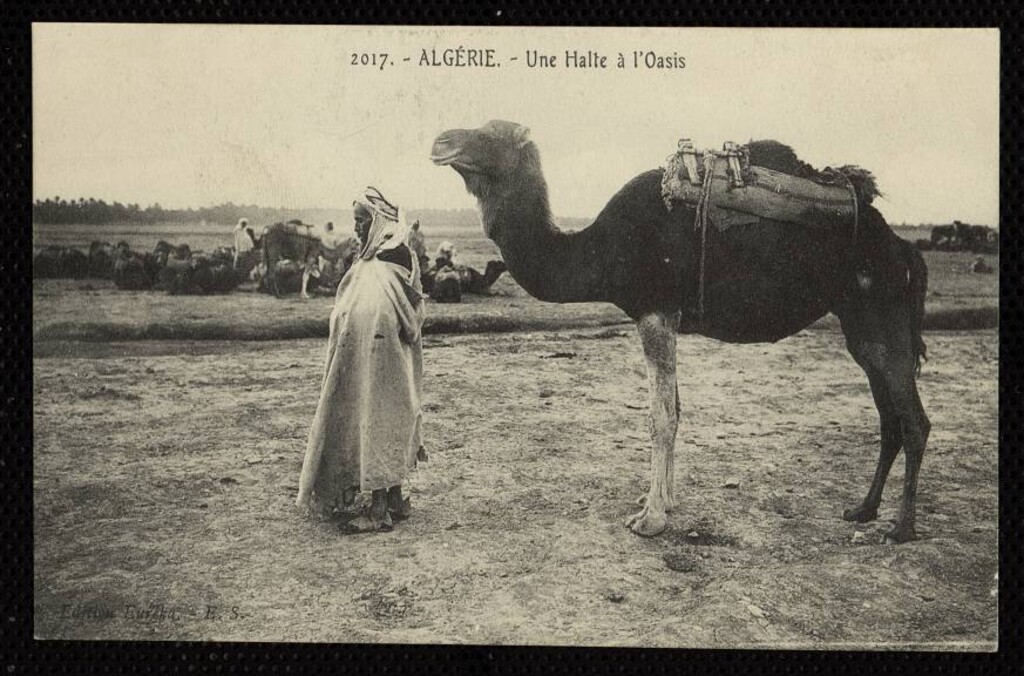 Miniatura de Algérie. Un halte à l´oasis.
