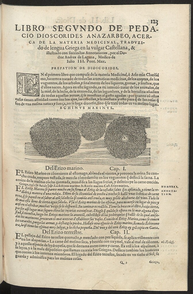 Miniatura de Pedacio Dioscorides Anazarbeo, acerca de la materia medicinal, y de los venenos mortiferos
