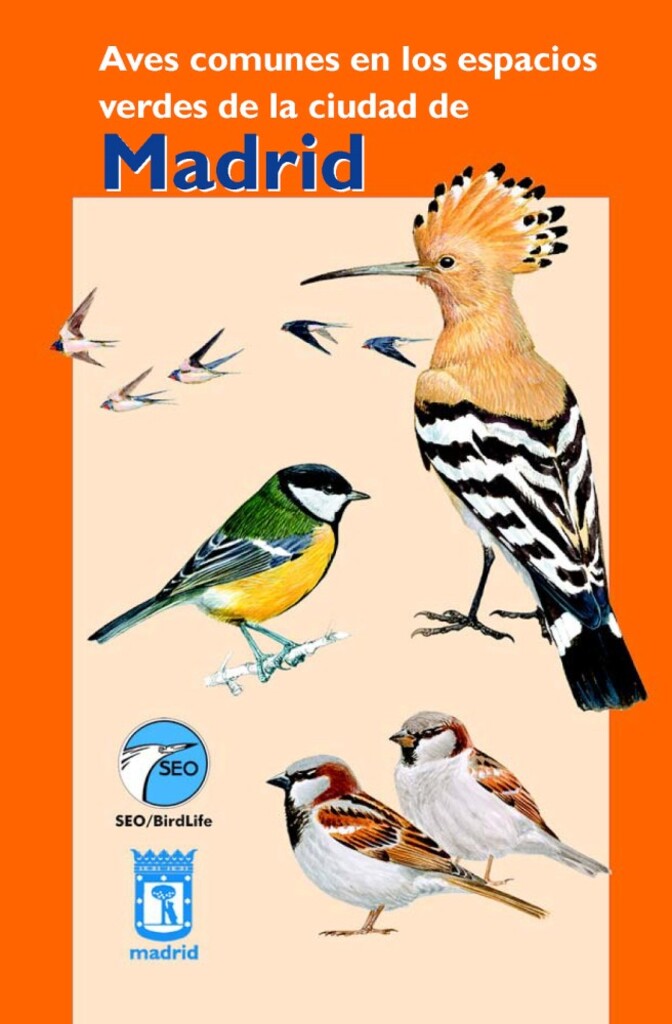 Miniatura de Aves comunes en los espacios verdes de la ciudad de Madrid