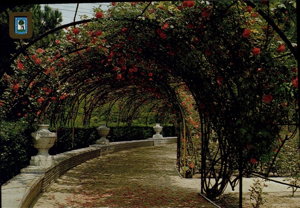 Miniatura de Rosaleda del Parque del Oeste