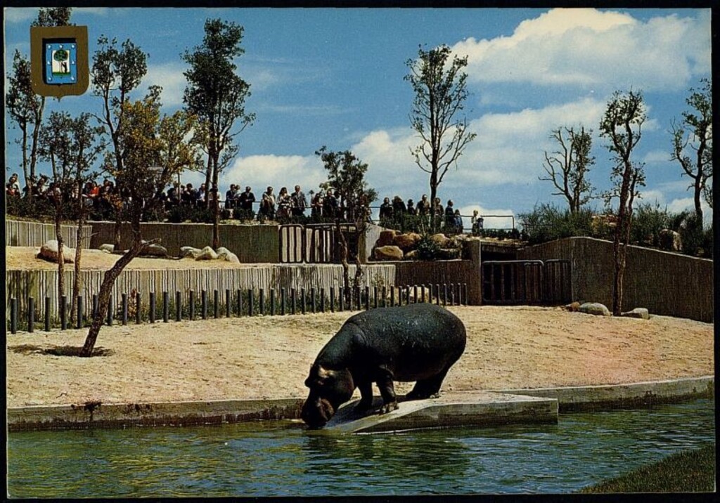 Miniatura de Parque Zoológico