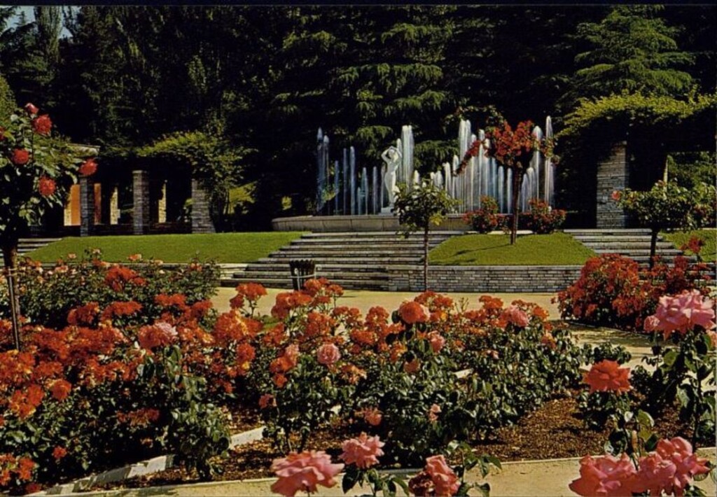 Miniatura de Rosaleda del Parque del Oeste