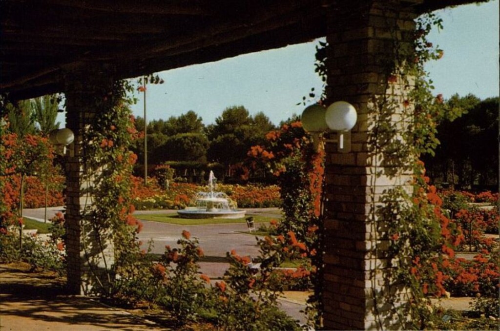 Miniatura de Rosaleda del Parque del Oeste