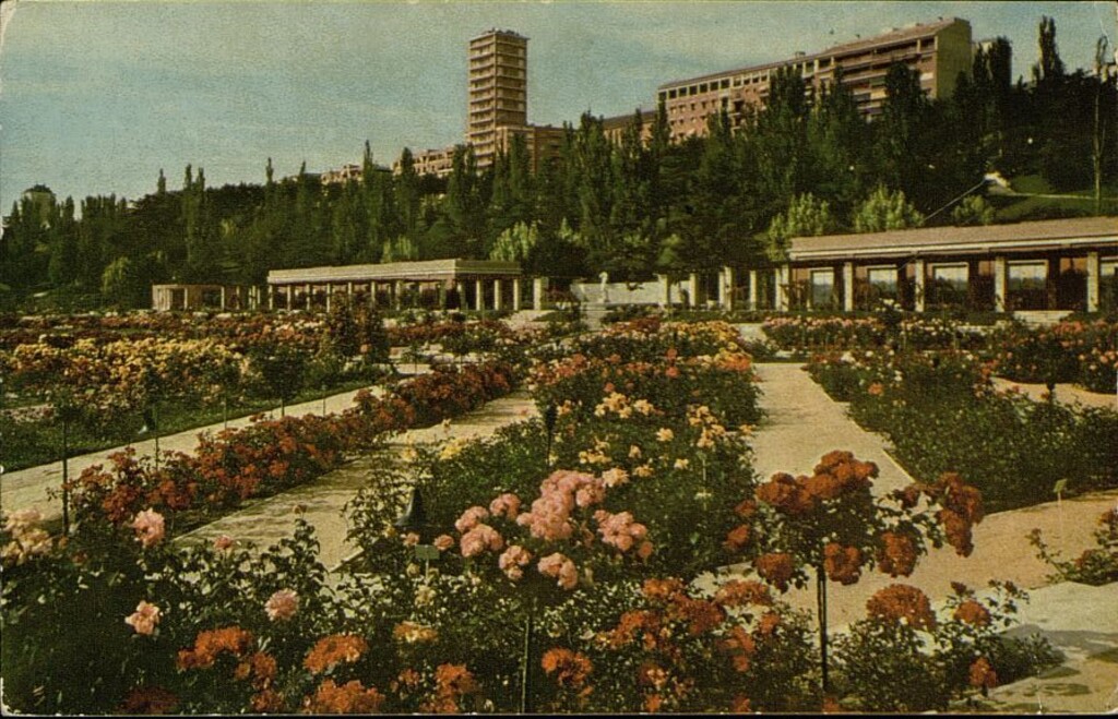 Miniatura de Rosaleda del Parque del Oeste