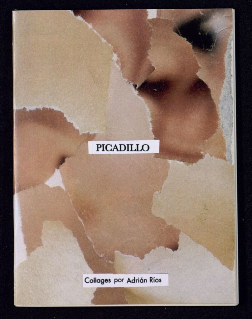 Miniatura de Picadillo