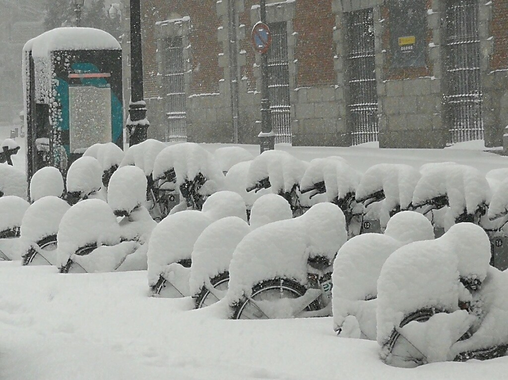 Miniatura de Corderos de nieve en bicicleta