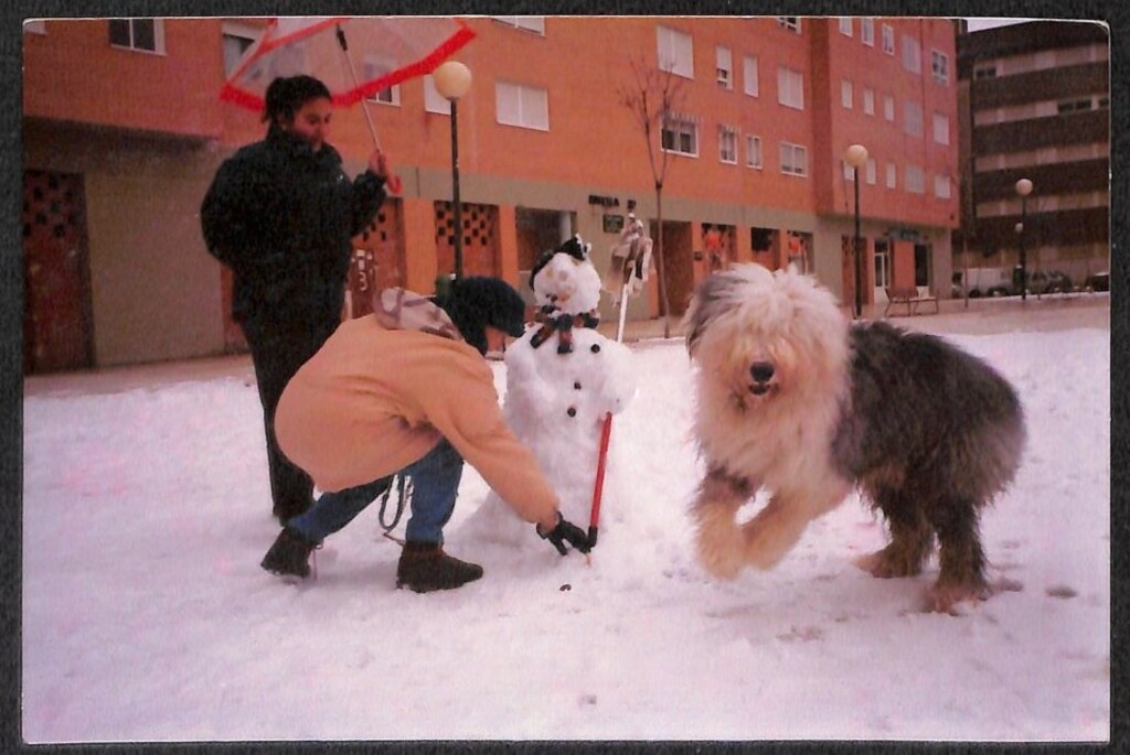 Miniatura de Un muñeco de nieve