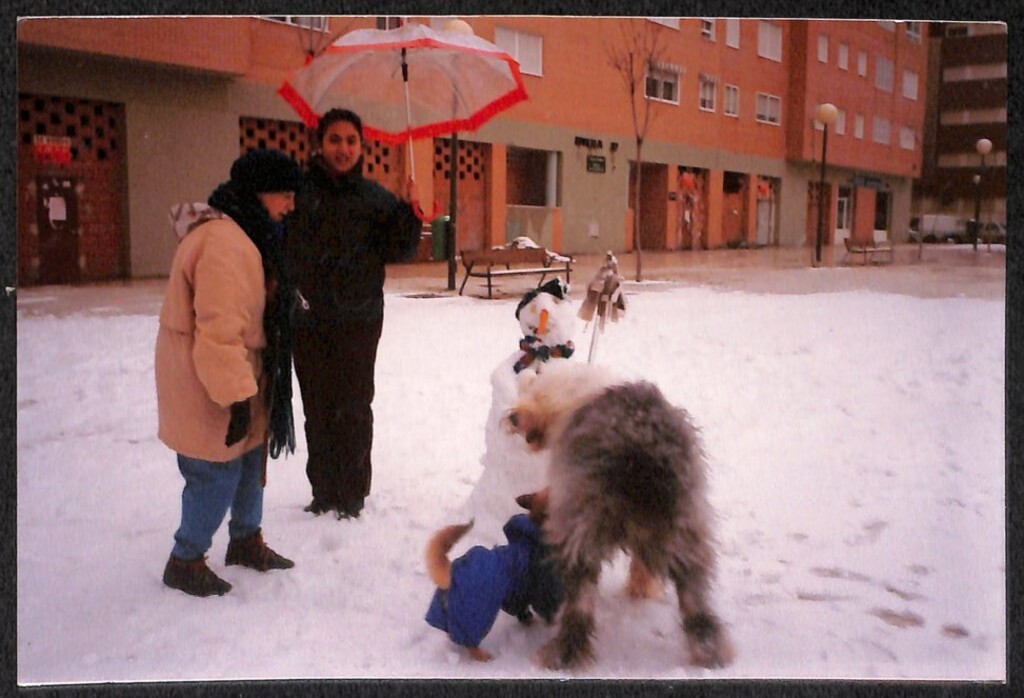 Miniatura de Un muñeco de nieve