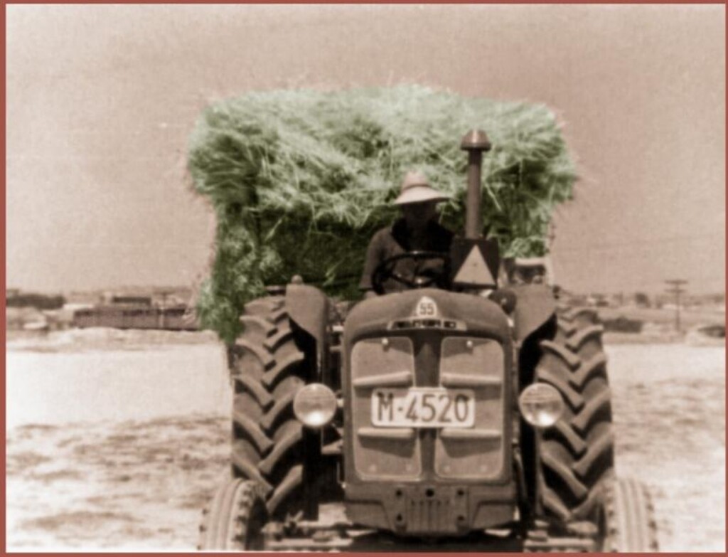 Miniatura de Faenas del campo en las Eras Altas