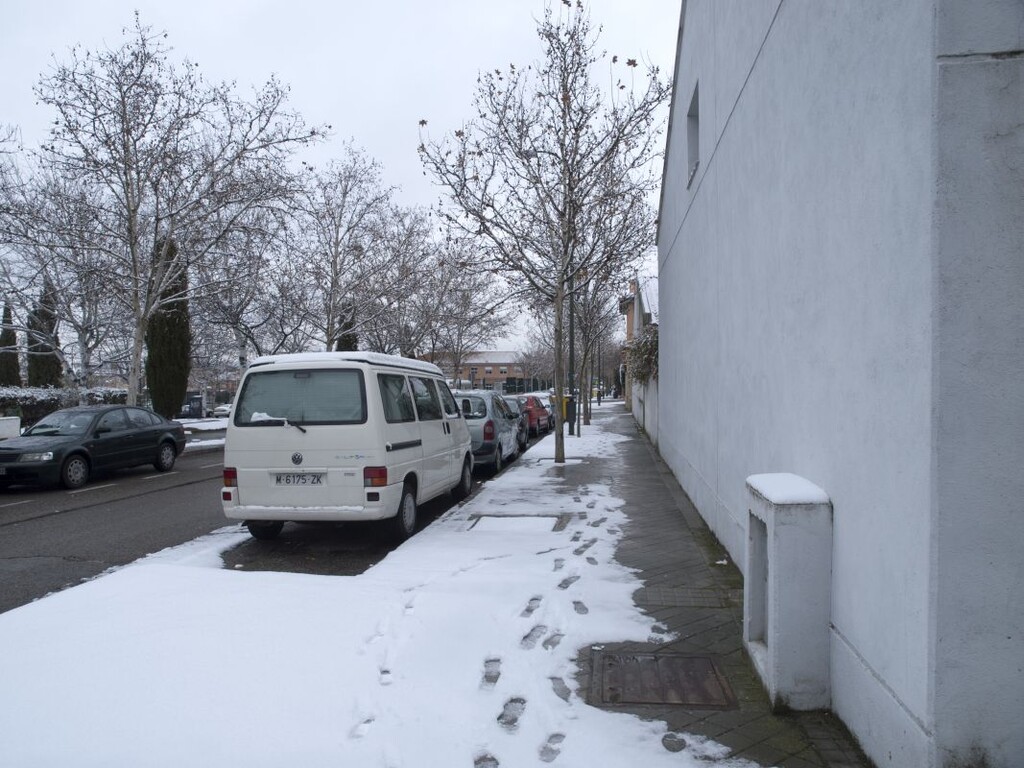 Miniatura de Nevada en el barrio