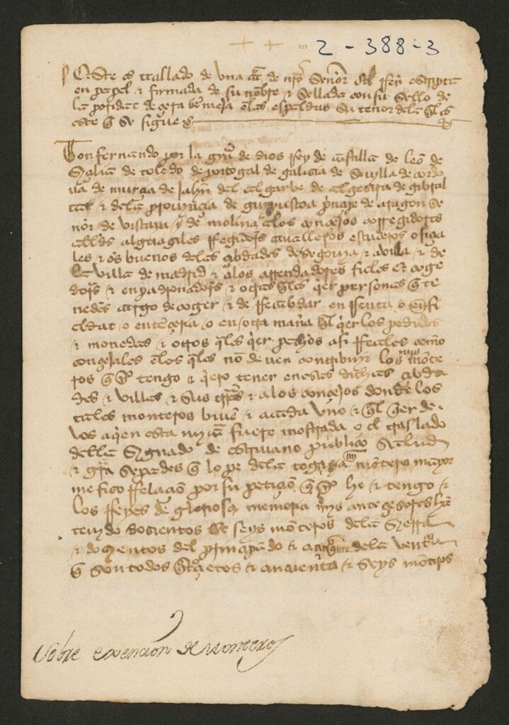 Miniatura de Provisión de don Fernando el Católico, dirigida a los concejos y justicias de Ávila, Segovia y Madrid, ordenándoles que respeten las exenciones que de pechos, tanto reales como concejiles, disfrutan los monteros.