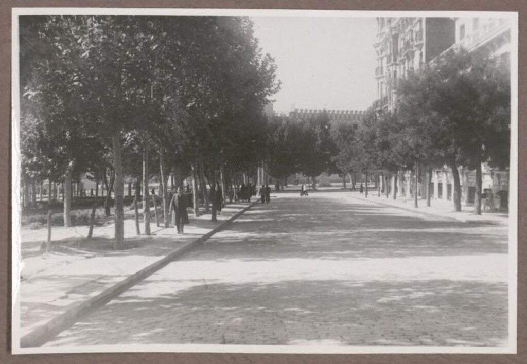 Miniatura de Calle de José Cañizares asfaltada
