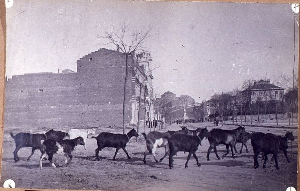 Miniatura de Cabras en el Paseo del General Martínez Campos