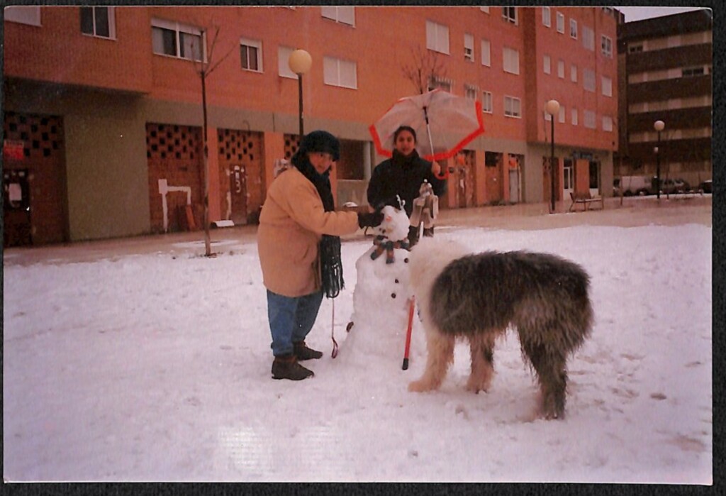 Miniatura de Un muñeco de nieve