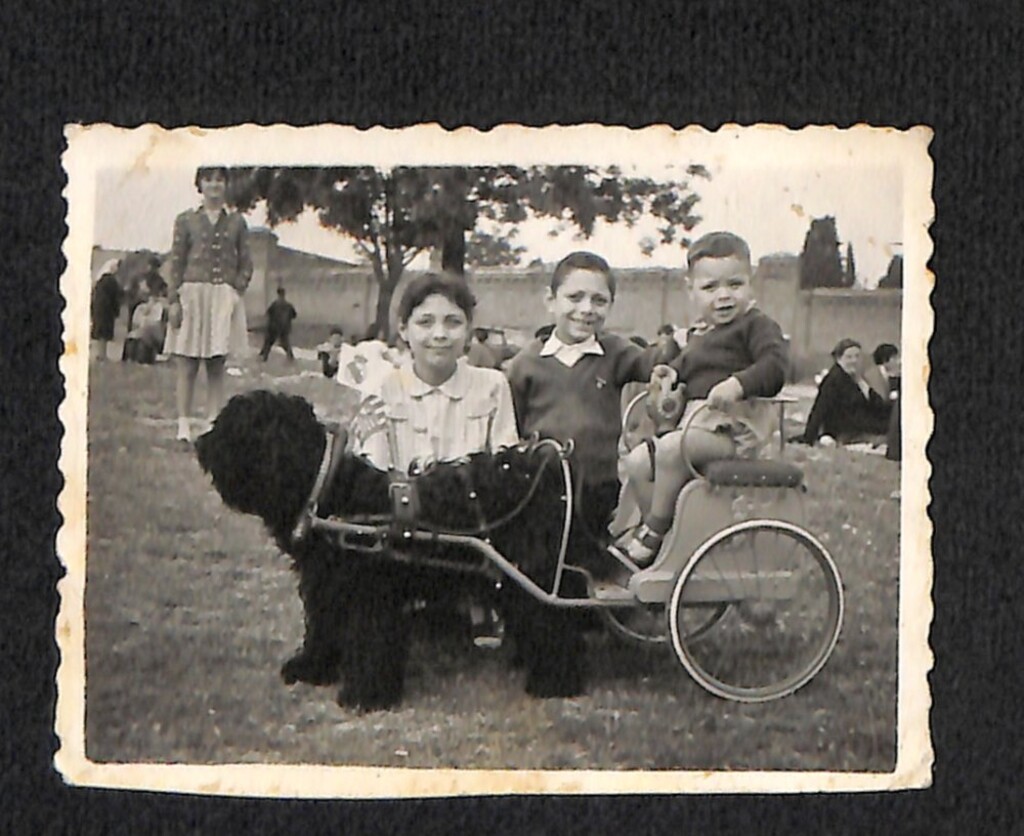 Miniatura de Niños en un carrito tirado por un perro