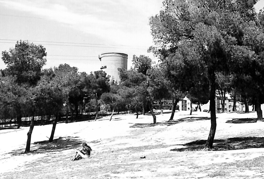 Miniatura de Descansando en Pinar del Rey