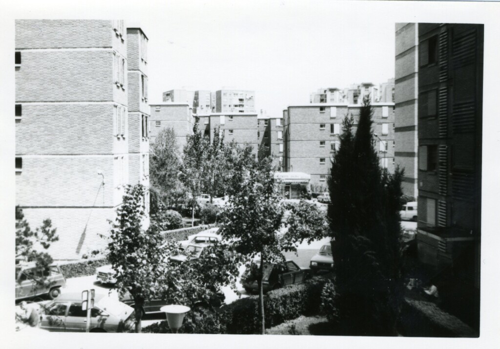Miniatura de Vista parcial de la calle de Maqueda