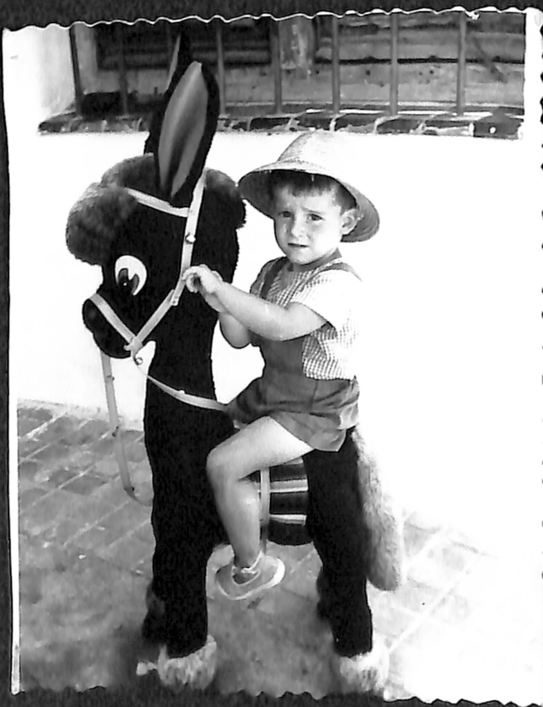 Miniatura de Niño montado en un caballo de juguete