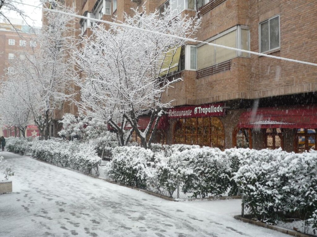 Miniatura de Paseo de las Acacias nevado