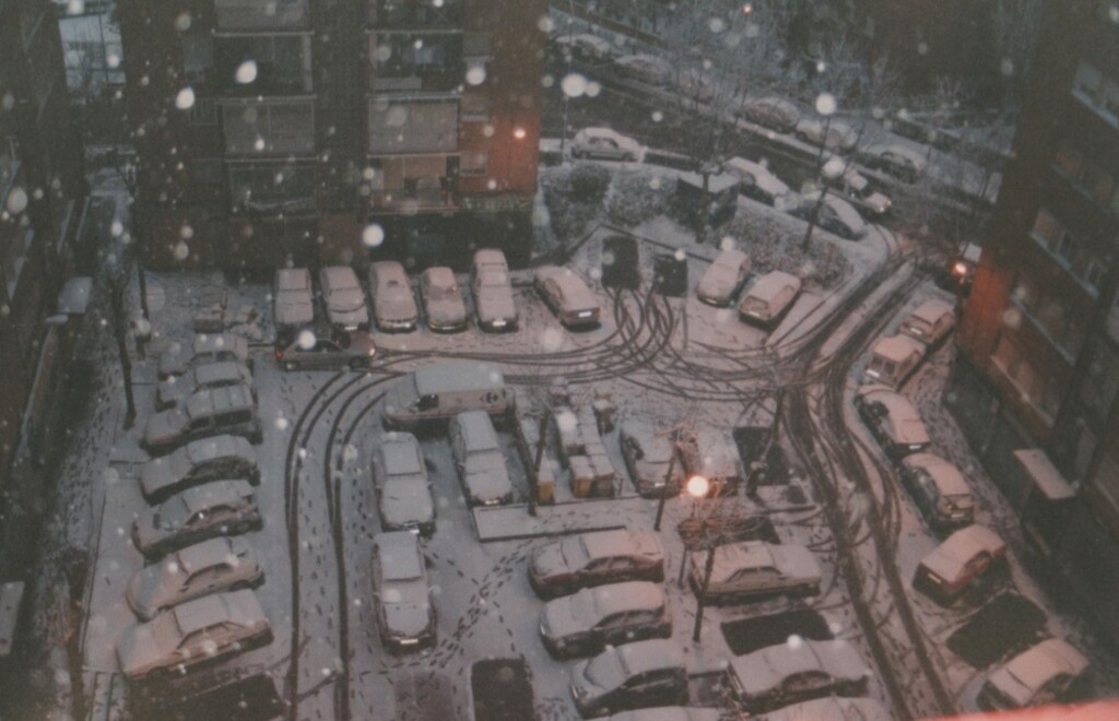 Miniatura de Nevada en Aluche