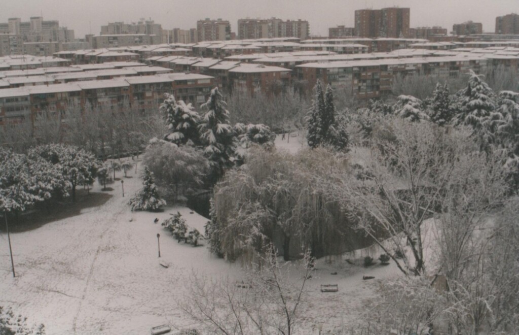 Miniatura de Nevada en Aluche