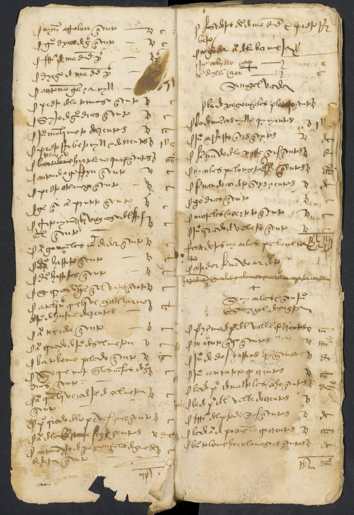Miniatura de Padrones de pechos 1500-1526