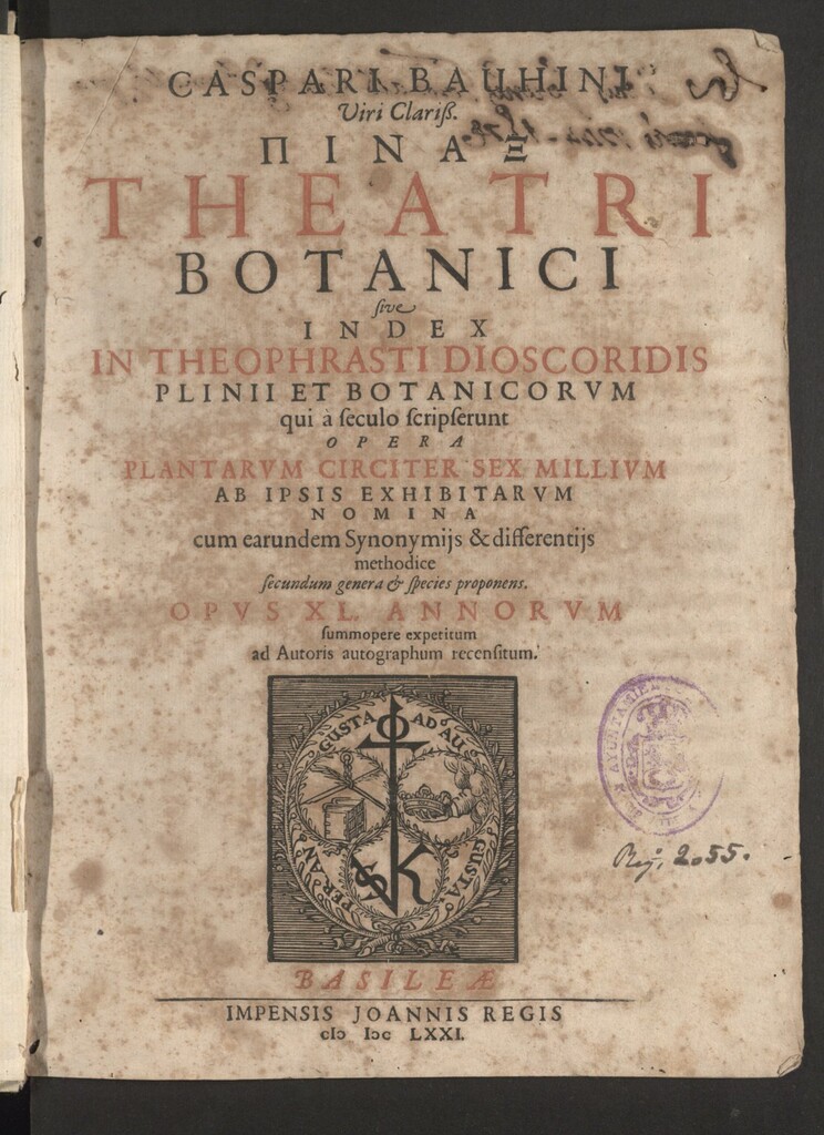 Miniatura de Caspari Bauhini... Pinax theatri botanici sive Index in Theophrasti Dioscoridis Plinii et botanicorum qui a seculo scripserunt opera plantarum circiter sex millium ab ipsis exhibitarum nomina cum earundem synonymiis & differentiis methodice secundum genera et species proponens...
