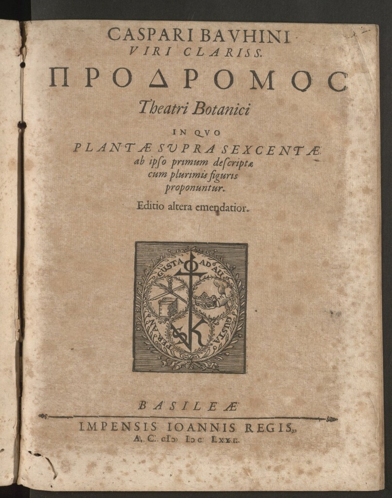 Miniatura de Caspari Bauhini...Prodromos Theatri botanici in quo plantae supra sexcentae...