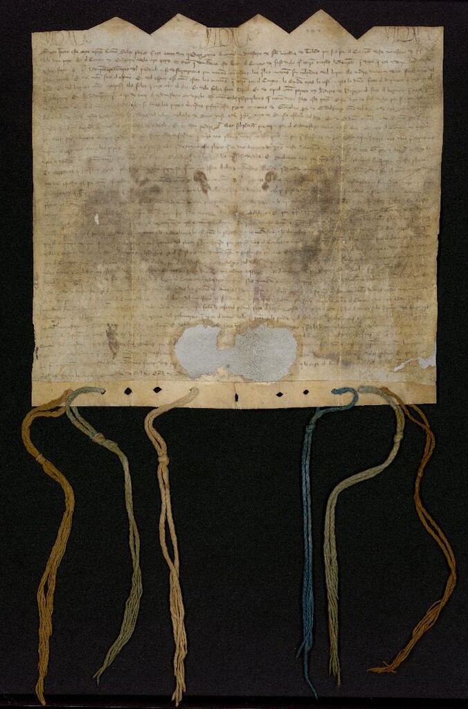 Miniatura de Carta de Concordia otorgada por Pedro García Abad, del Monasterio de Santa Leocadia, sobre los límites del soto del Piul