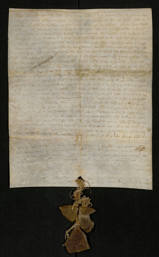 Miniatura de Carta abierta de Fernando IV anulando las cartas firmadas por el Justicia del Real de Manzanares Ferrán Lorenzo