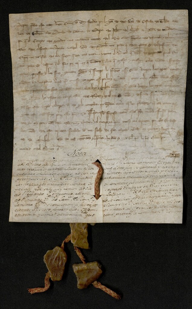 Miniatura de Carta abierta de Fernando IV confirmando a Madrid el uso del término del Real de Manzanares y autorizando la corta de leña, los pastos y el carbón