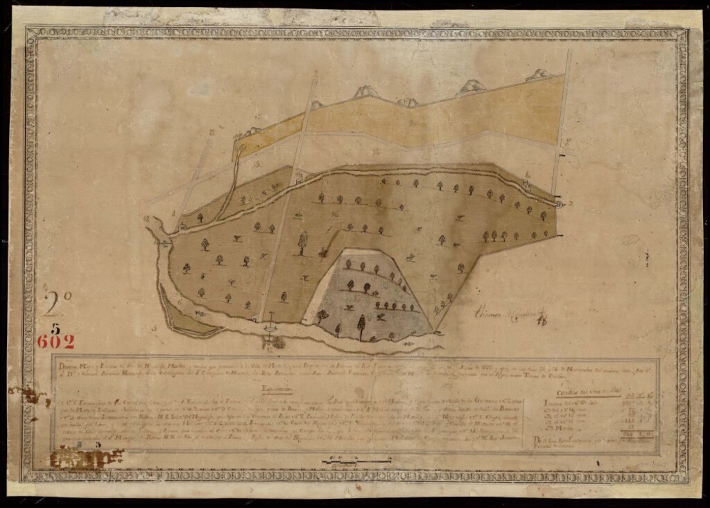 Miniatura de Diseño, mapa y pintura del Soto del Negralejo, Matilla y demás que pertenece a la Vª de Madrid y sus propios, en la ribera del río Jarama, según se reconoció en 15 de junio de 1772 y apeló en los días 25 y 26 de nov. Del mismo año, por el Sr. D. Manuel Antº Naranjo ?Juez Subdelegado del Sr. Corregidor ante Juan Badiola, escribano de S.M. y de la Comisión levantada por el agrimensor Tomás Cuellar. 602-Secretaría (64) (Fincas Rústicas)