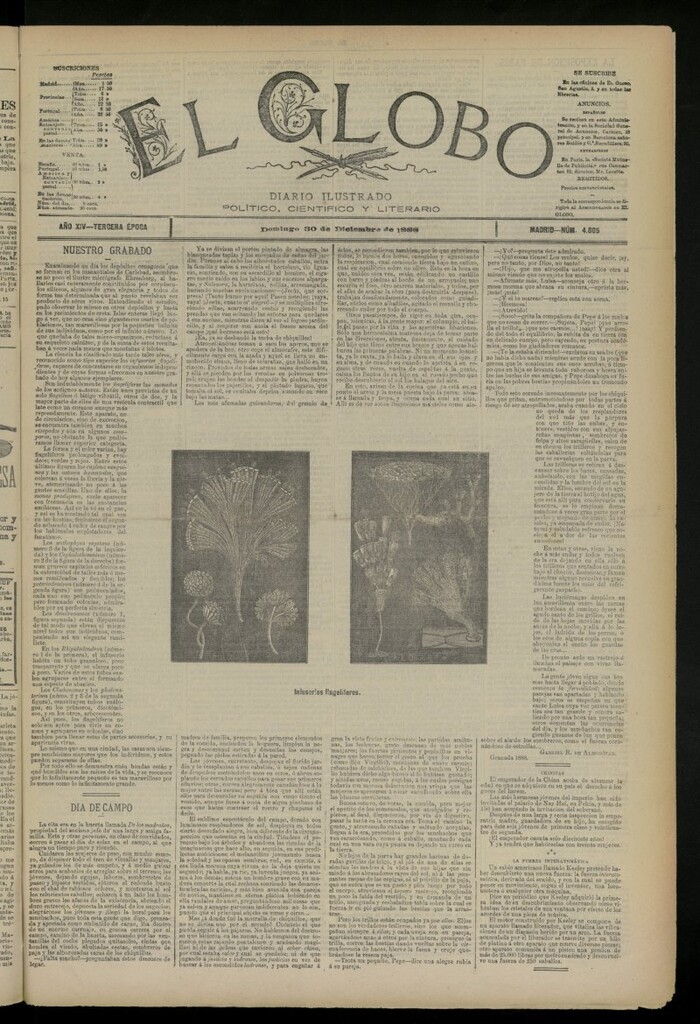 Miniatura de El Globo : diario ilustrado del 30 de diciembre de 1888, nº 4805