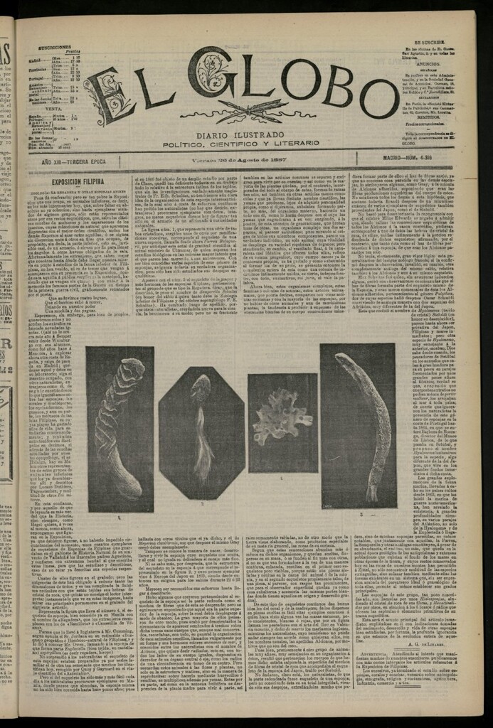 Miniatura de El Globo : diario ilustrado del 26 de agosto de 1887, nº 4316