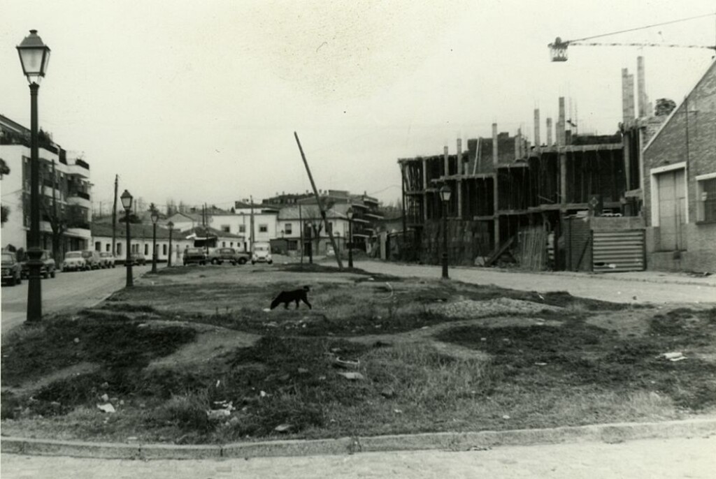 Miniatura de Un perro en la Avenida de la Galaxia de Aravaca