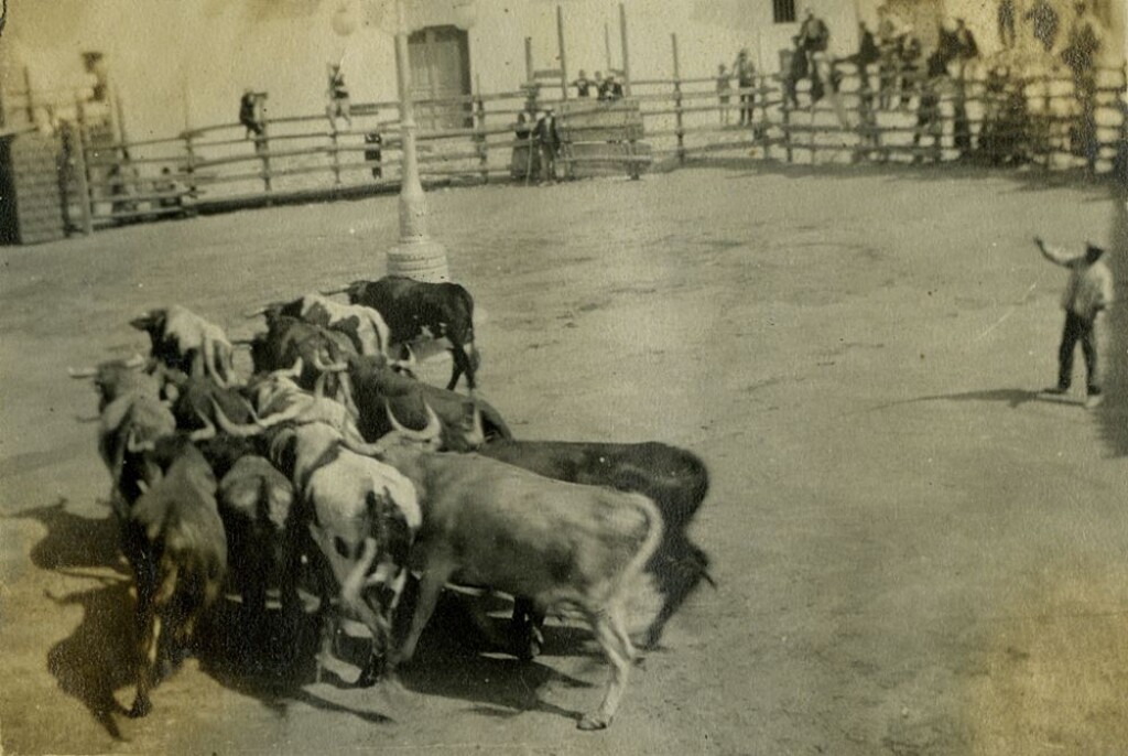 Miniatura de Corrida de toros en las fiestas de septiembre de Aravaca