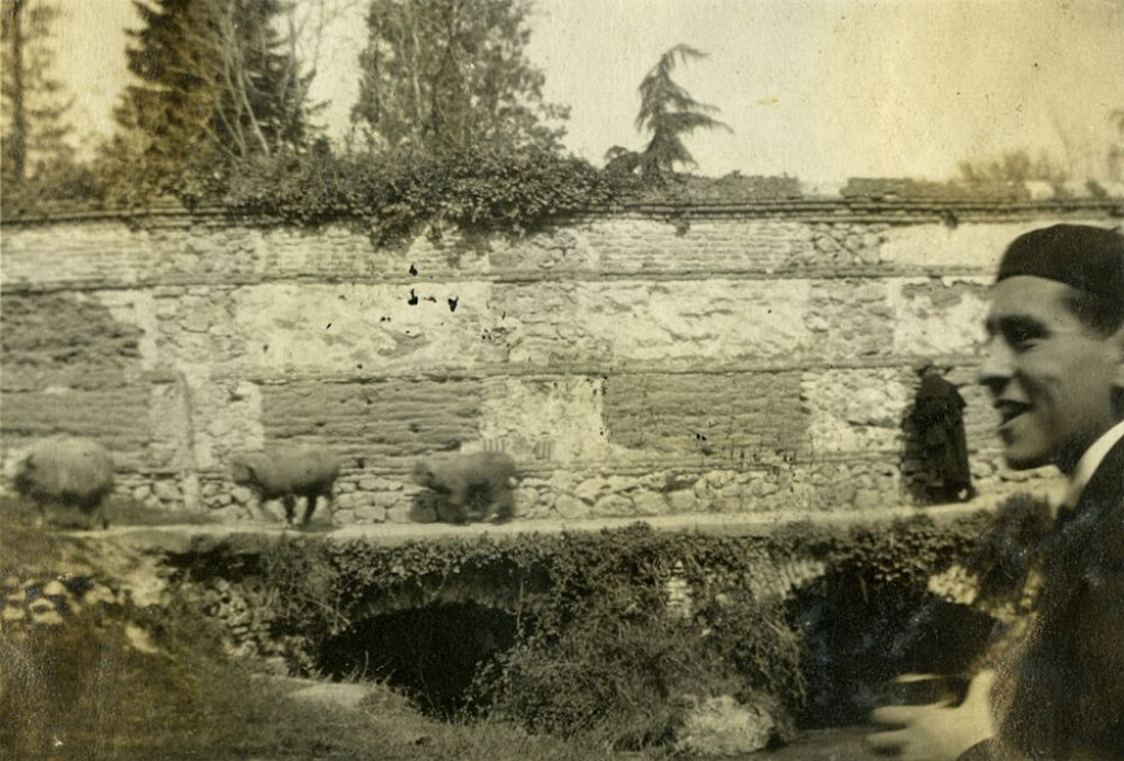 Miniatura de Ovejas en Aravaca