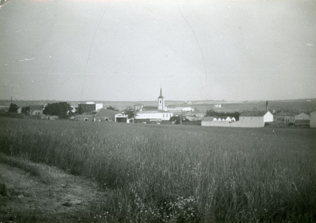 Miniatura de Plantación de trigo