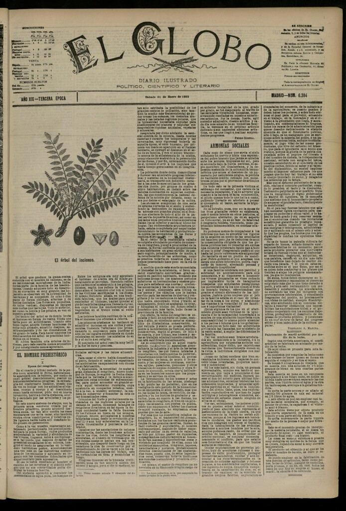 Miniatura de El Globo : diario ilustrado del 21 de enero de 1893, nº 6284