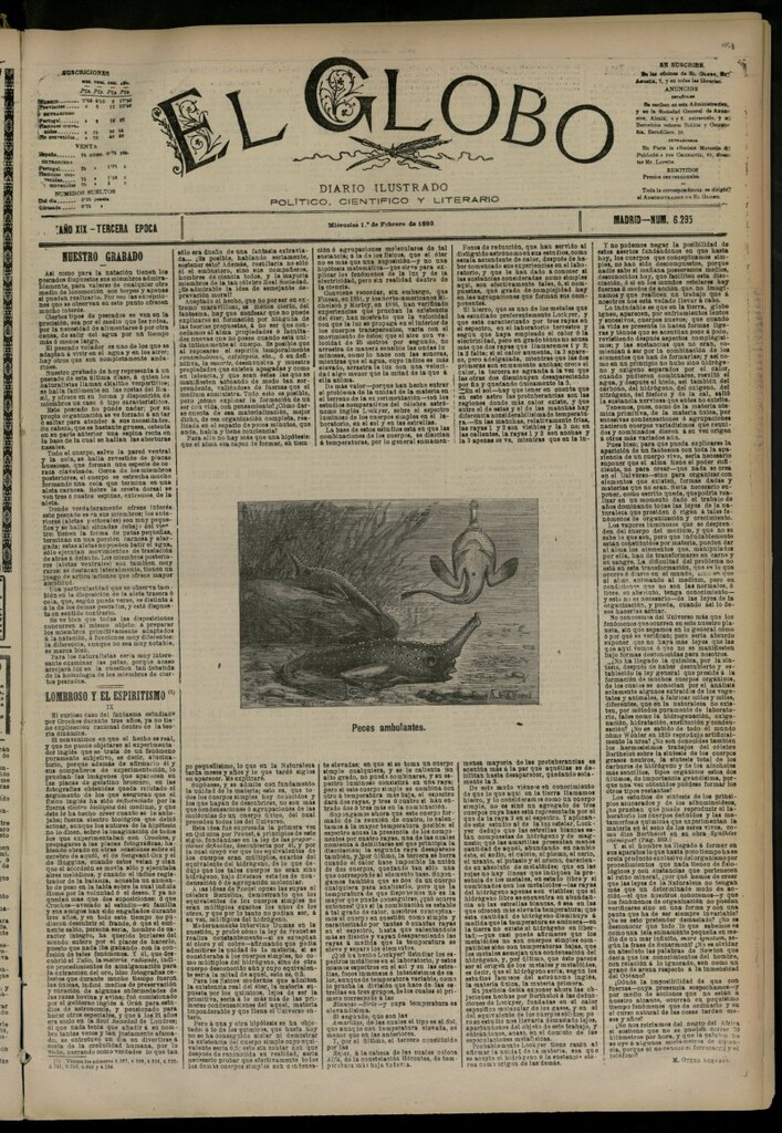 Miniatura de El Globo : diario ilustrado del 1 de febrero de 1893, nº 6295