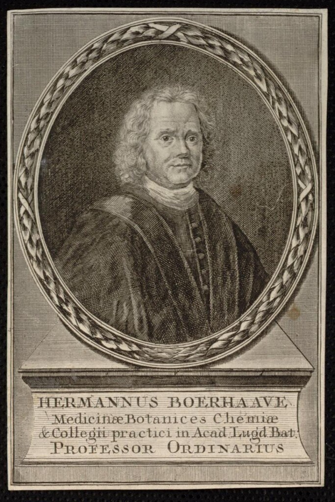 Miniatura de Hermannus Boerhave