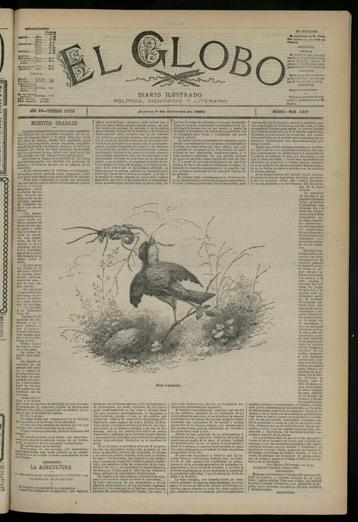 Miniatura de El Globo : diario ilustrado del 7 de febrero de 1889, nº 4844