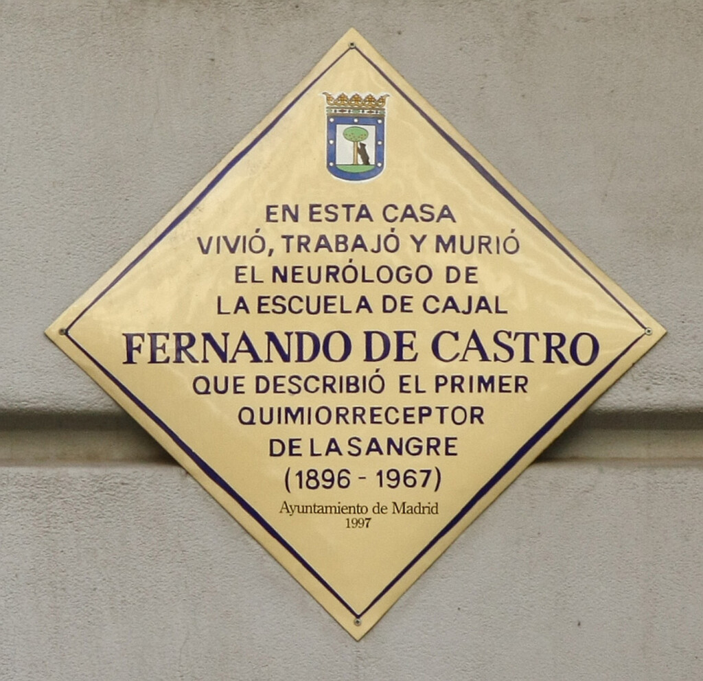 Miniatura de Fernando de Castro