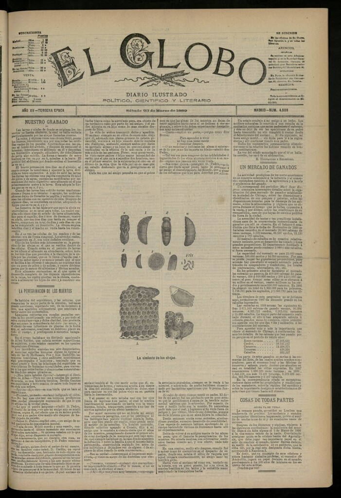Miniatura de El Globo : diario ilustrado del 23 de marzo de 1889, nº 4888