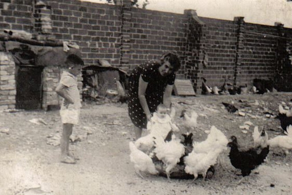 Miniatura de Con las gallinas